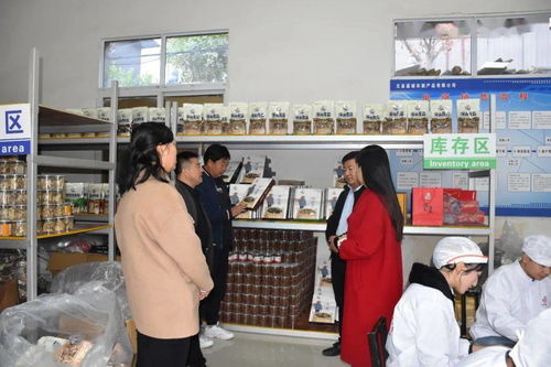 文縣電商中心負(fù)責(zé)人深入一線，檢查指導(dǎo)電商協(xié)會(huì)及企業(yè)運(yùn)營(yíng)，力促農(nóng)副產(chǎn)品銷(xiāo)售再上新臺(tái)階